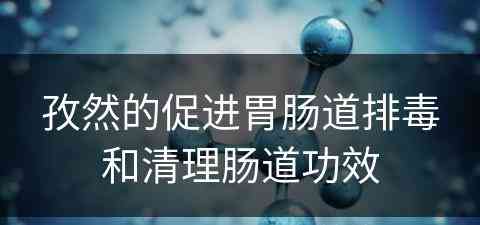 孜然的促进胃肠道排毒和清理肠道功效